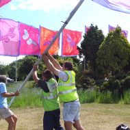 Putting up butterflies opt